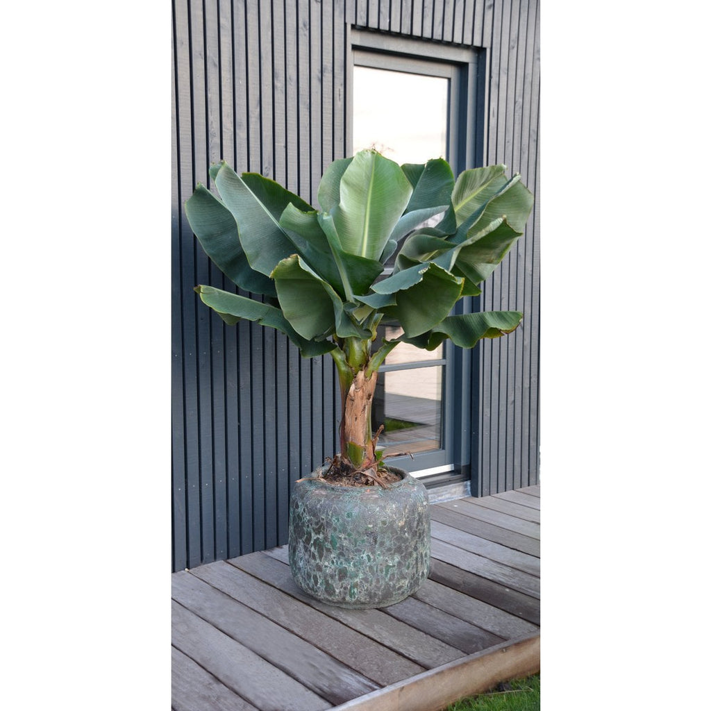 Plantenpot Leen 59x50cm