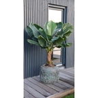 Plantenpot Leen 59x50cm