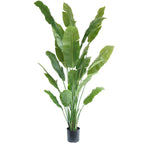 Strelitzia Kunstplant 210cm
