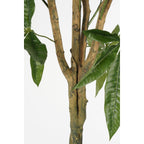 Kunstplant Pachira Groen 120cm - Real Touch