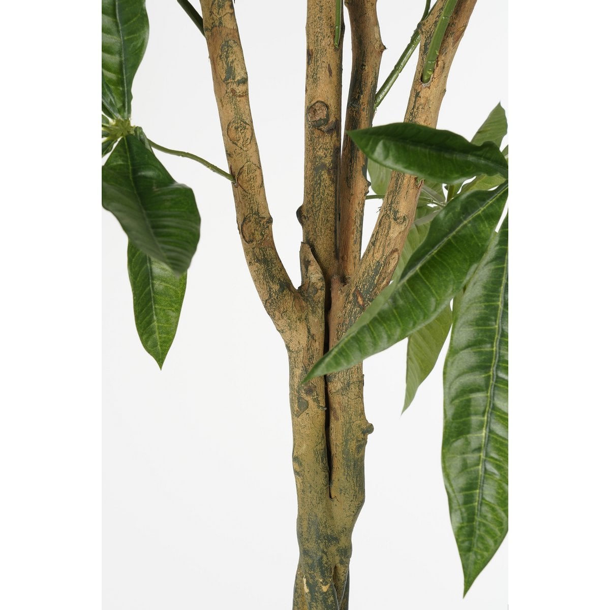 Kunstplant Pachira Groen 120cm - Real Touch