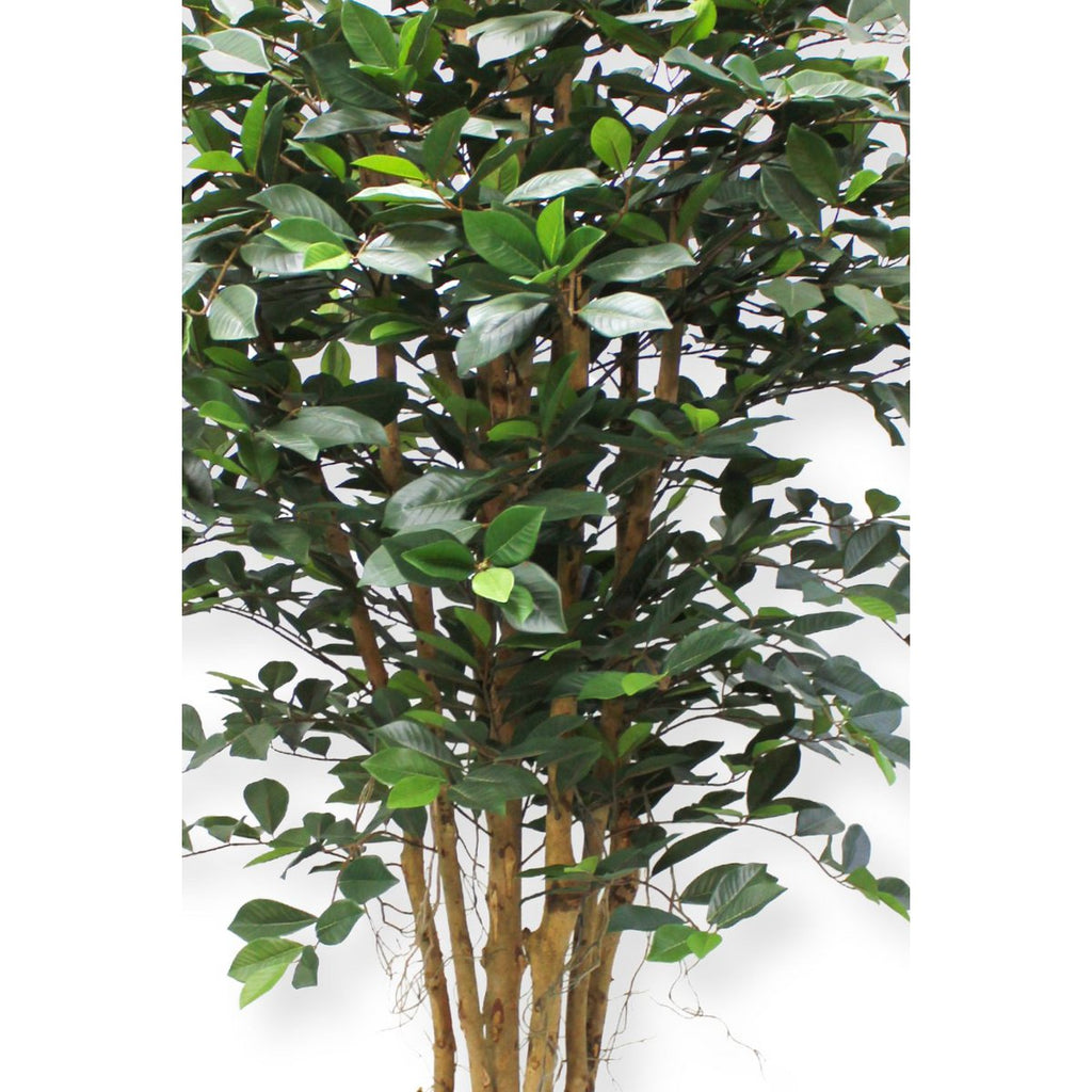 Ficus Kunstplant 180cm