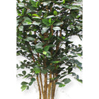 Ficus Kunstplant 180cm