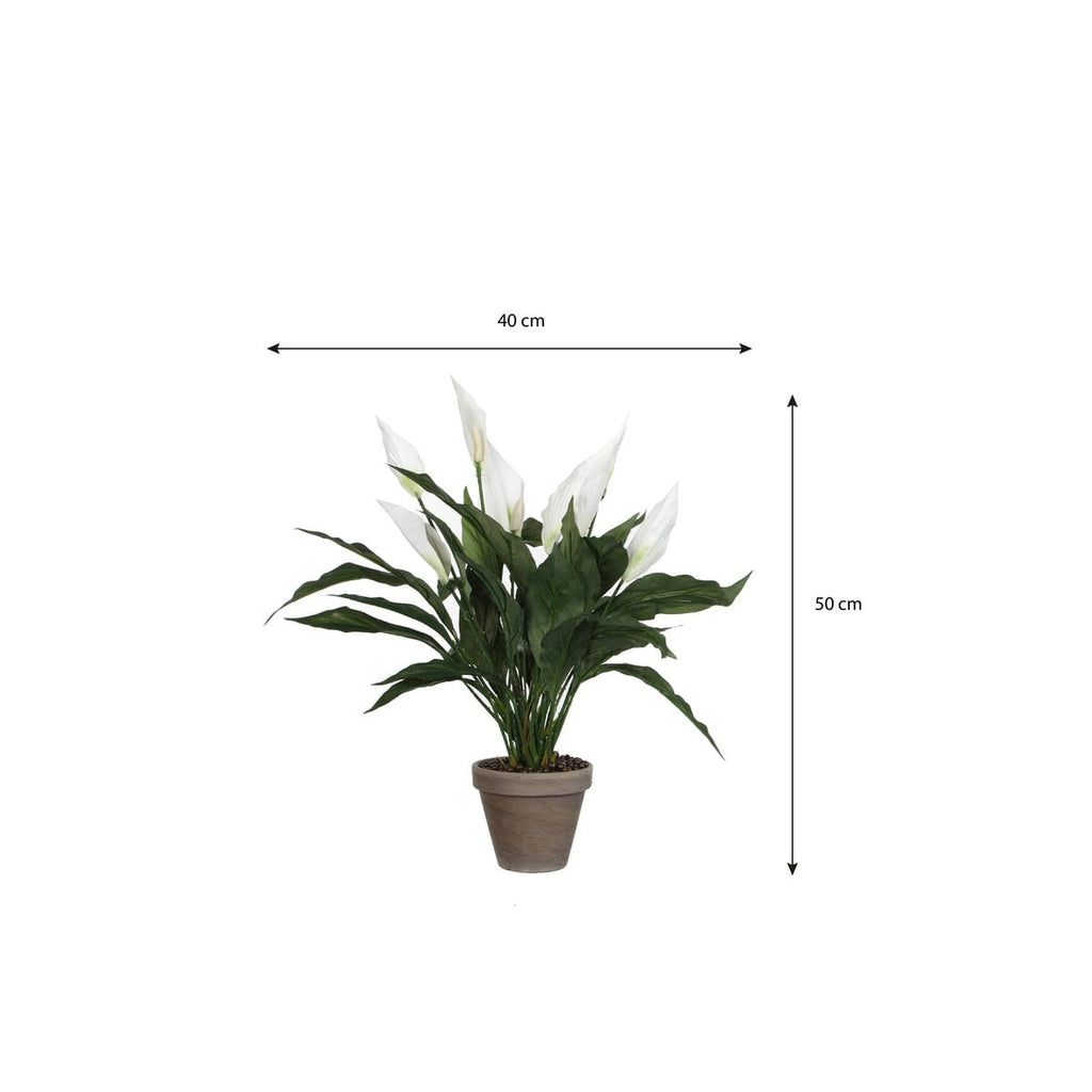 Kunstplant Spathiphyllum Wit