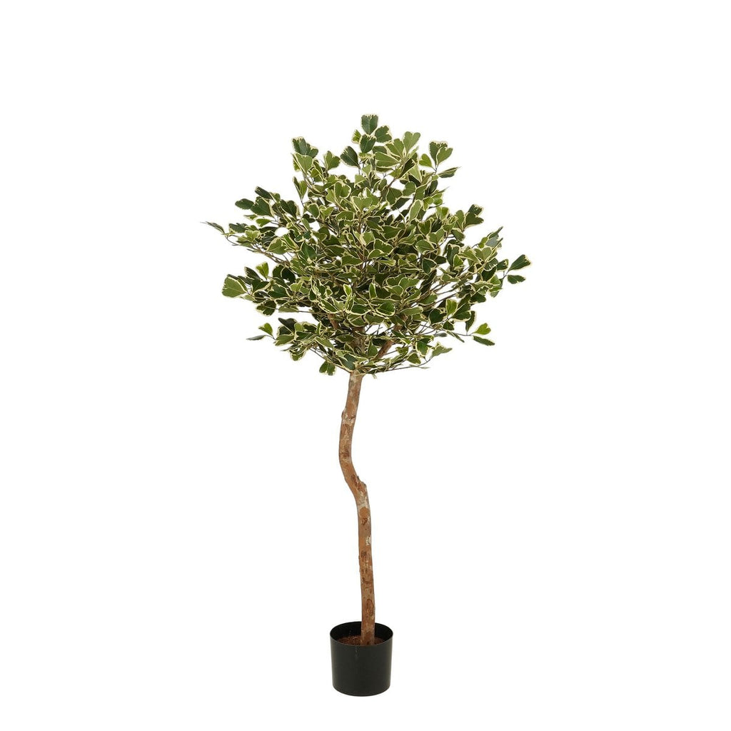 Kunstplant Ficus Groen 150cm - Real Touch