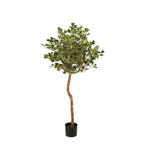 Kunstplant Ficus Groen 150cm - Real Touch