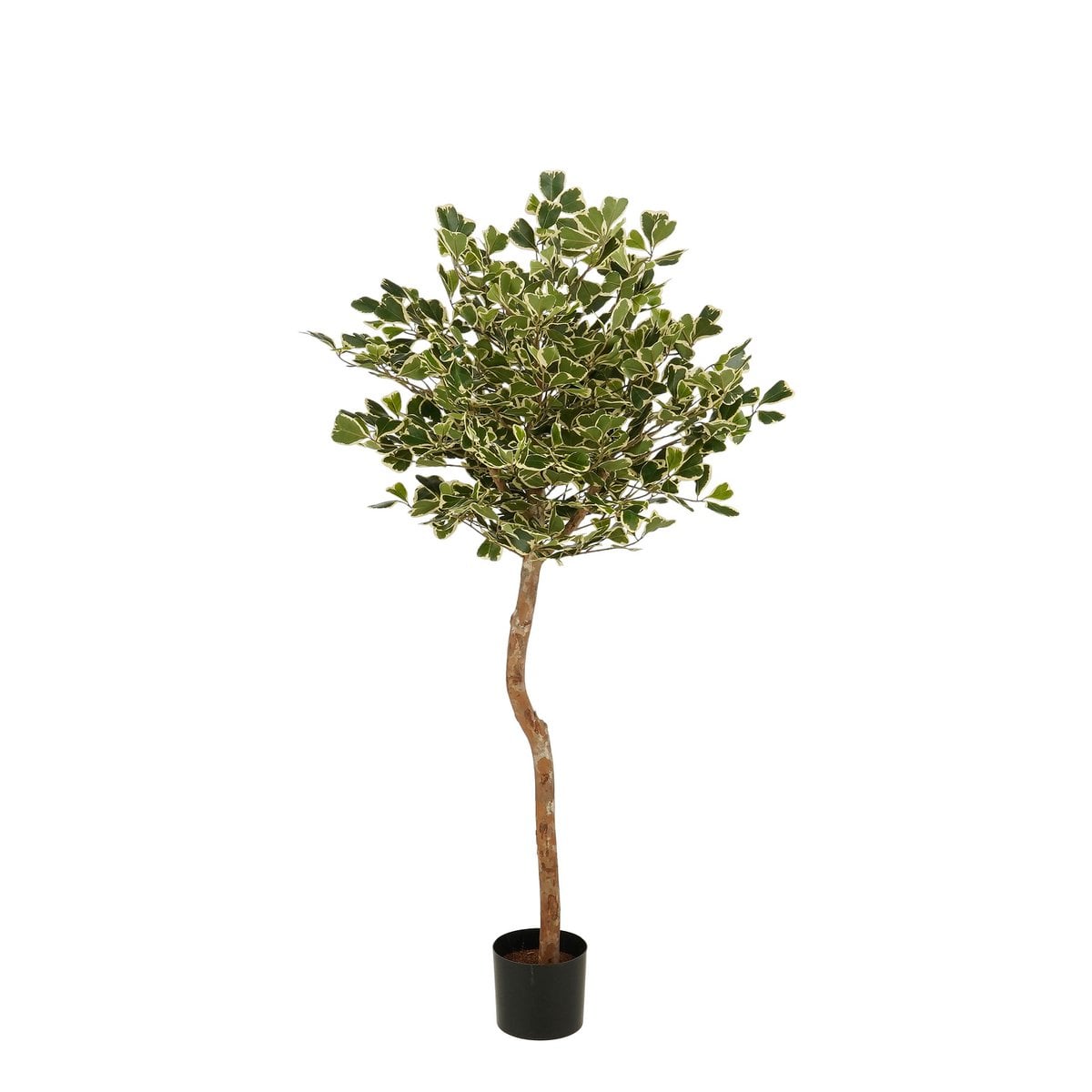 Kunstplant Ficus Groen 150cm - Real Touch