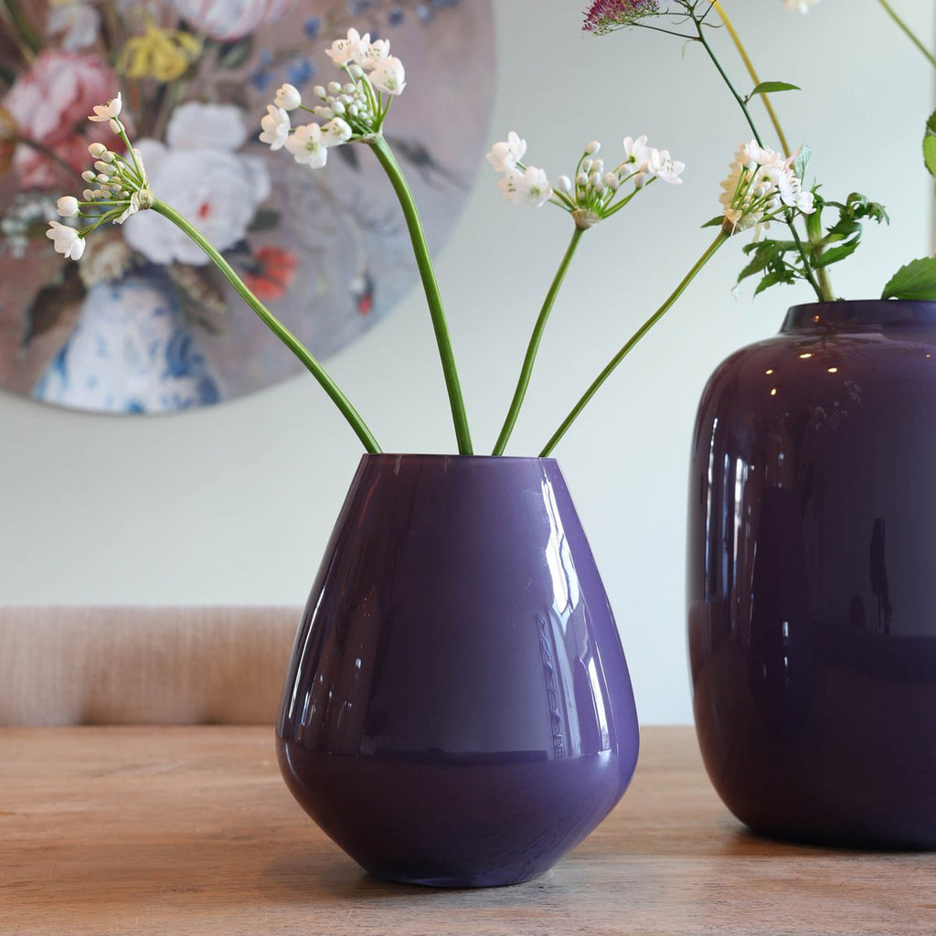 Vaas - Tasman S purple