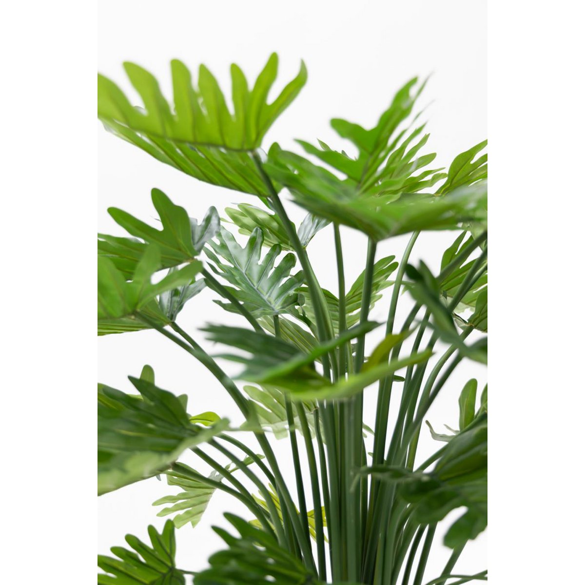Philodendron Kunstplant 75cm