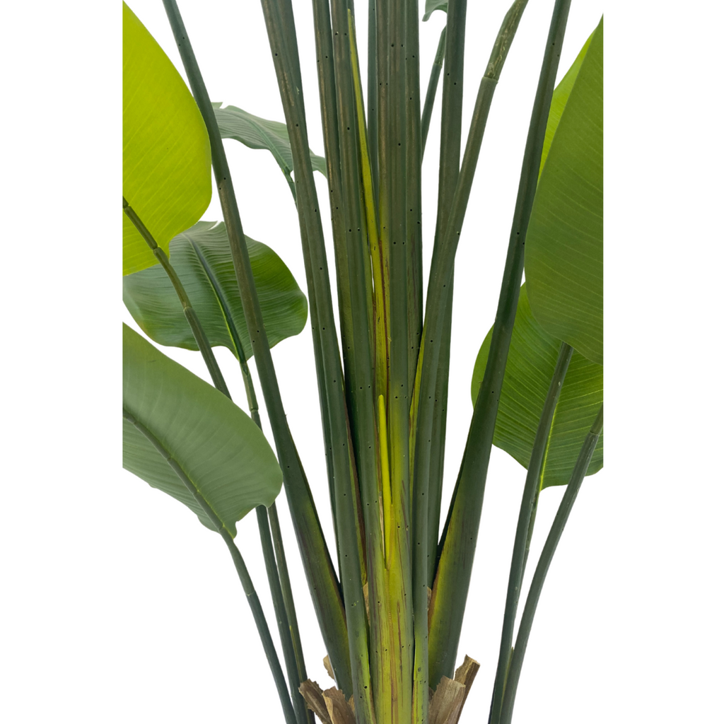 Strelitzia Kunstplant 210cm
