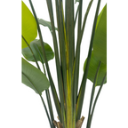 Strelitzia Kunstplant 210cm
