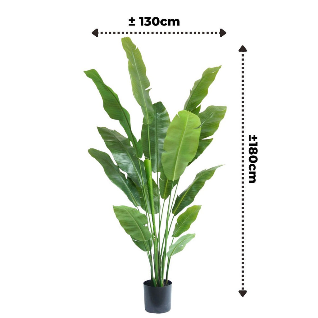 Kunstplant Strelitzia 180cm
