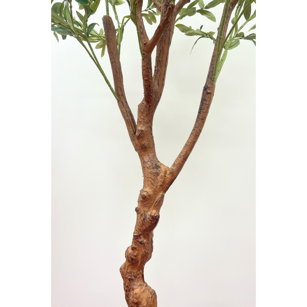 Kunst Olijfboom 150cm (lichte stam)