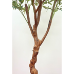 Kunst Olijfboom 150cm (lichte stam)