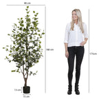 Kunstplant Eucalyptus 180cm