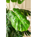 Monstera Kunstplant 165cm