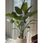 Strelitzia Kunstplant 180cm