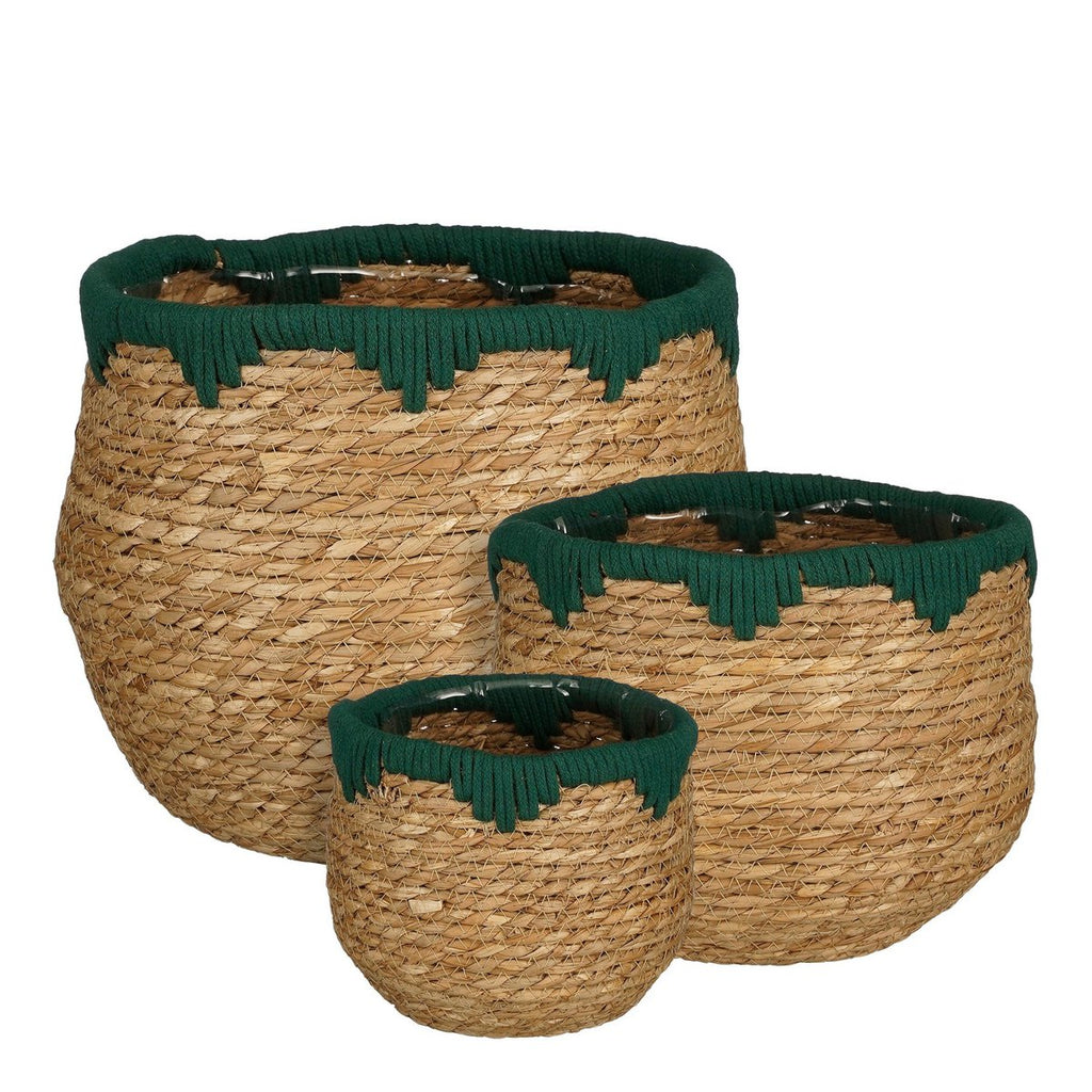 SET - Plantenmanden Joella Groen