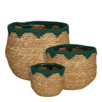 SET - Plantenmanden Joella Groen
