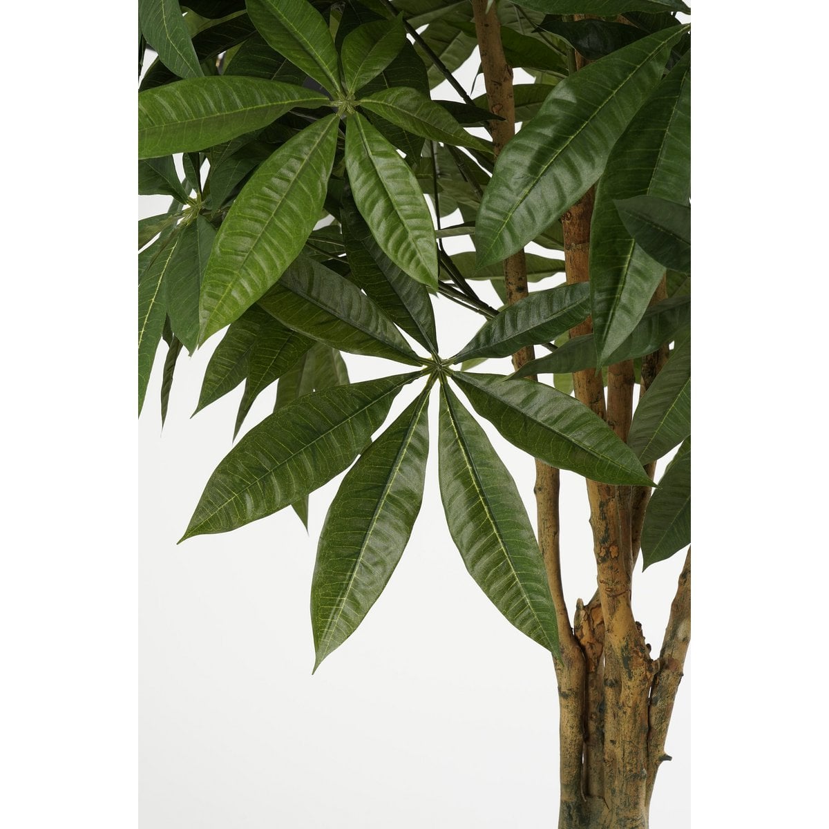 Kunstplant Pachira Real Touch 150cm
