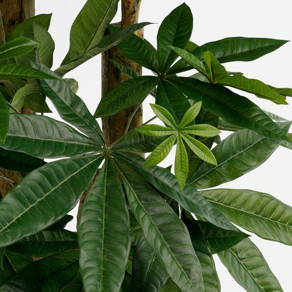 Kunstplant Pachira Groen 175cm - Real Touch