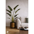 Plantenpot Norali Messing