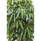 Longifolia Kunstplant 180cm