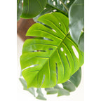 Monstera Kunstplant 145cm