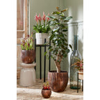 Decoratieve Fles Vaas Rioja 100cm