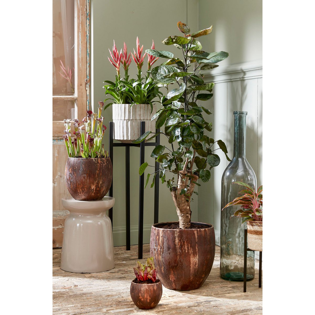 Decoratieve Fles Vaas Rioja 100cm