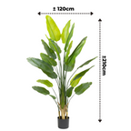 Strelitzia Kunstplant 210cm
