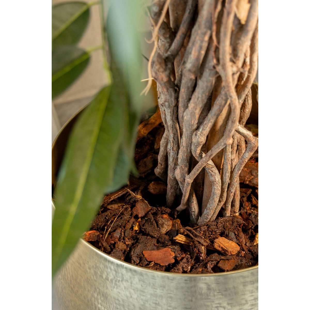 Longifolia Kunstplant 180cm