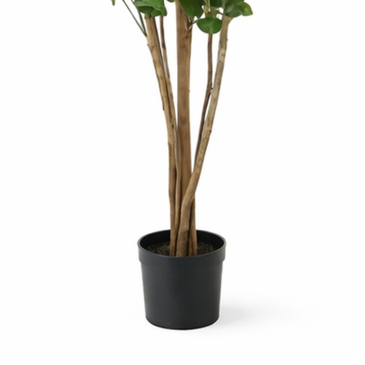 Kunstplant Eucalyptusboom Groen 175cm  - Real Touch