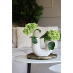 Dienblad - Santa Cruz Aged Brass