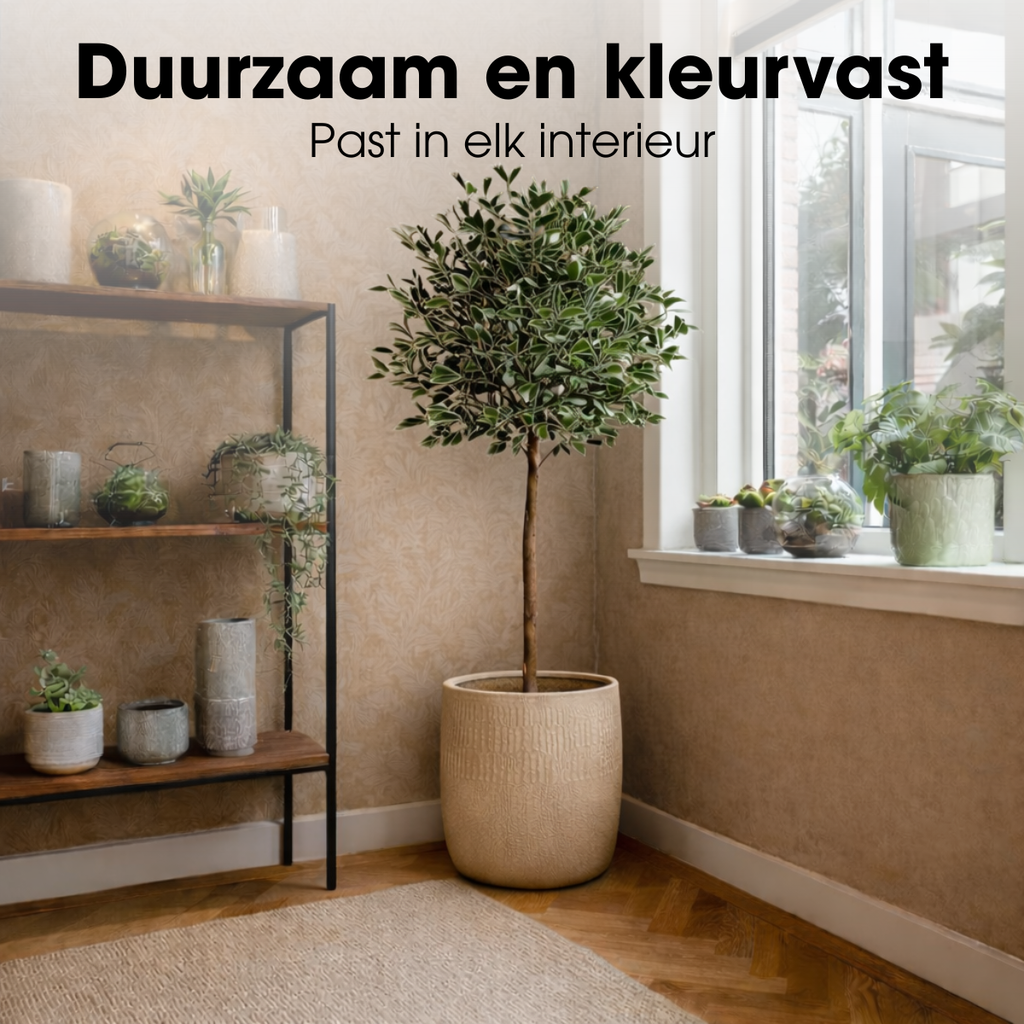 Kunstplant Ficus Groen 150cm - Real Touch