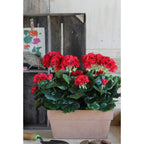Kunstplant Geranium Rood