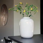 Vaas Artic Ivory