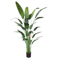 Strelitzia Kunstplant Met Bloem 180cm