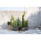 Plantenpot Bali Zwart Naturel - Maat S 3