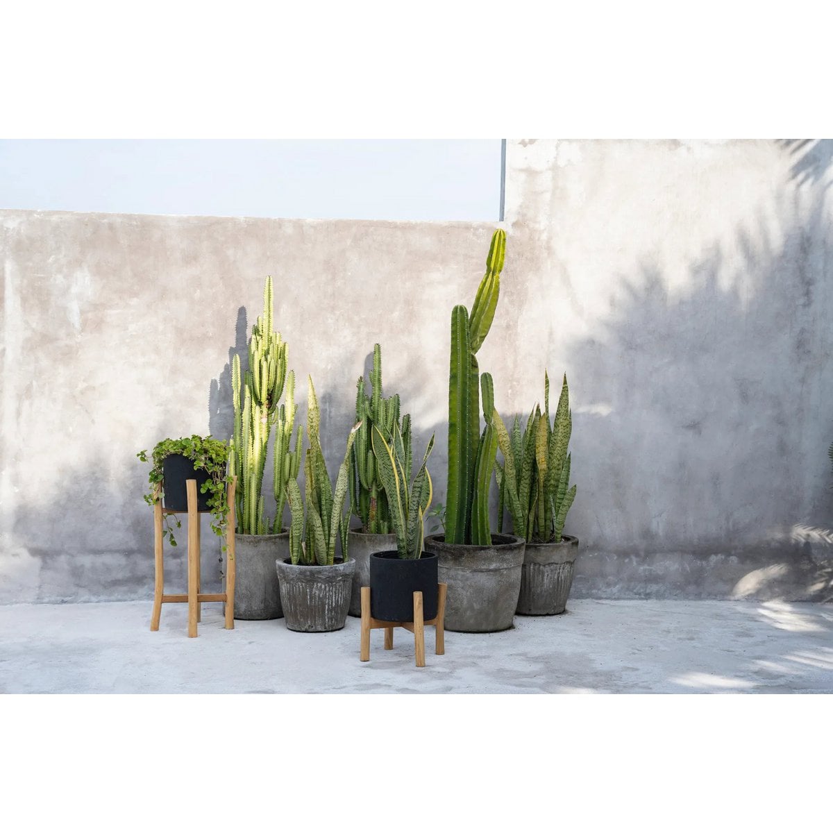 Plantenpot Bali Zwart Naturel - Maat S 3