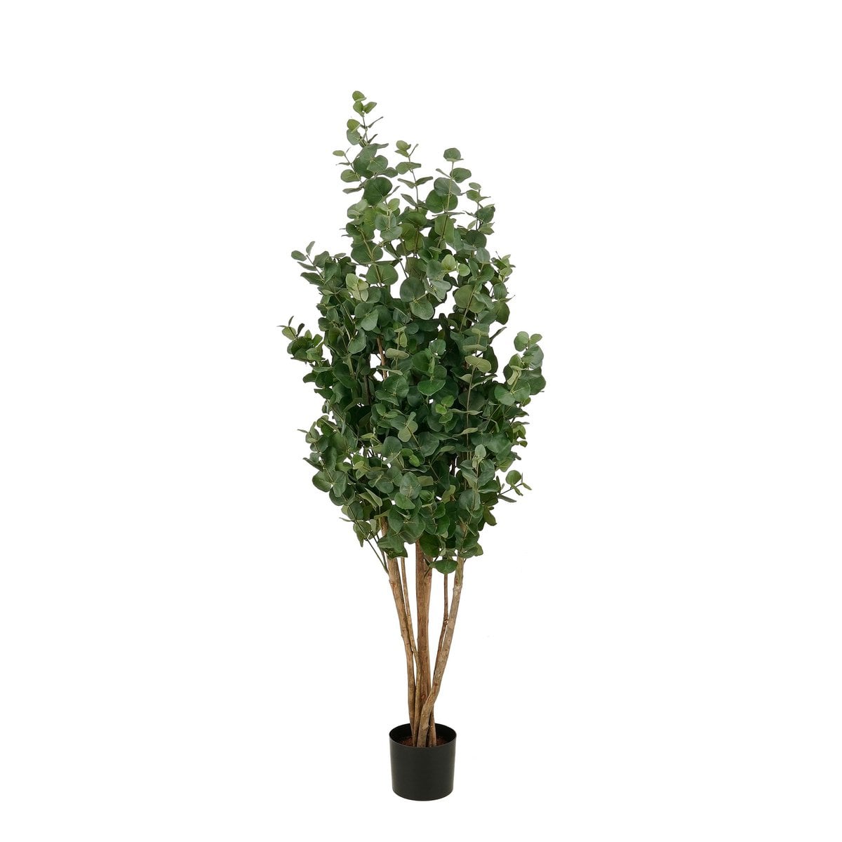 Kunstplant Eucalyptusboom Groen 175cm  - Real Touch