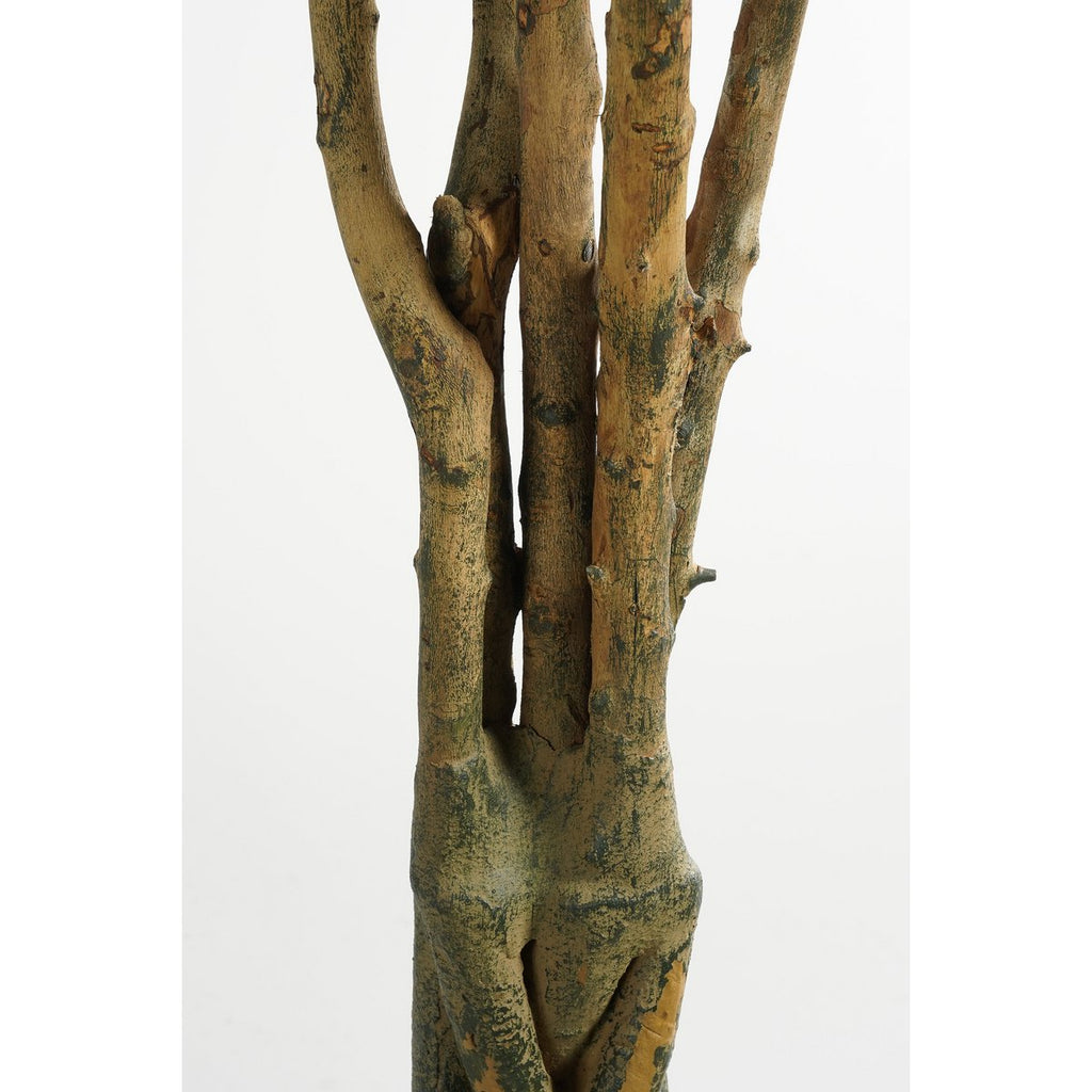 Kunstplant Pachira Real Touch 150cm