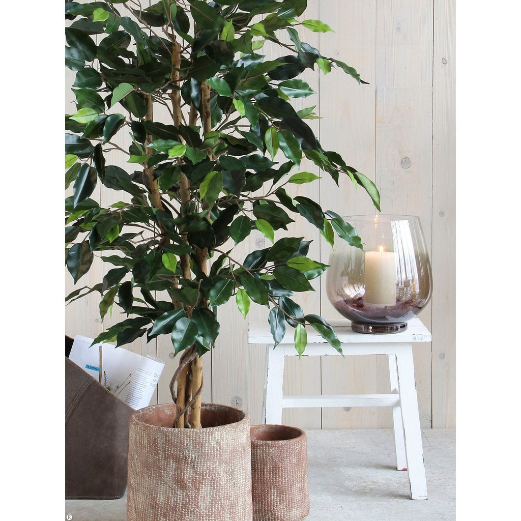 Kunstplant Ficus Groen 150cm