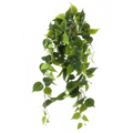 Philodendron Kunst Hangplant 90cm