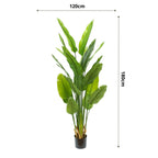 Strelitzia Kunstplant 180cm