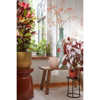 Decoratieve Fles Vaas Rioja 100cm