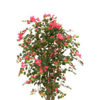 Kunstplant Bougainvillea 180cm