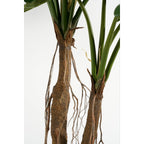 Kunstplant Philodendron 140cm