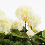 Kunstplant Geranium Wit
