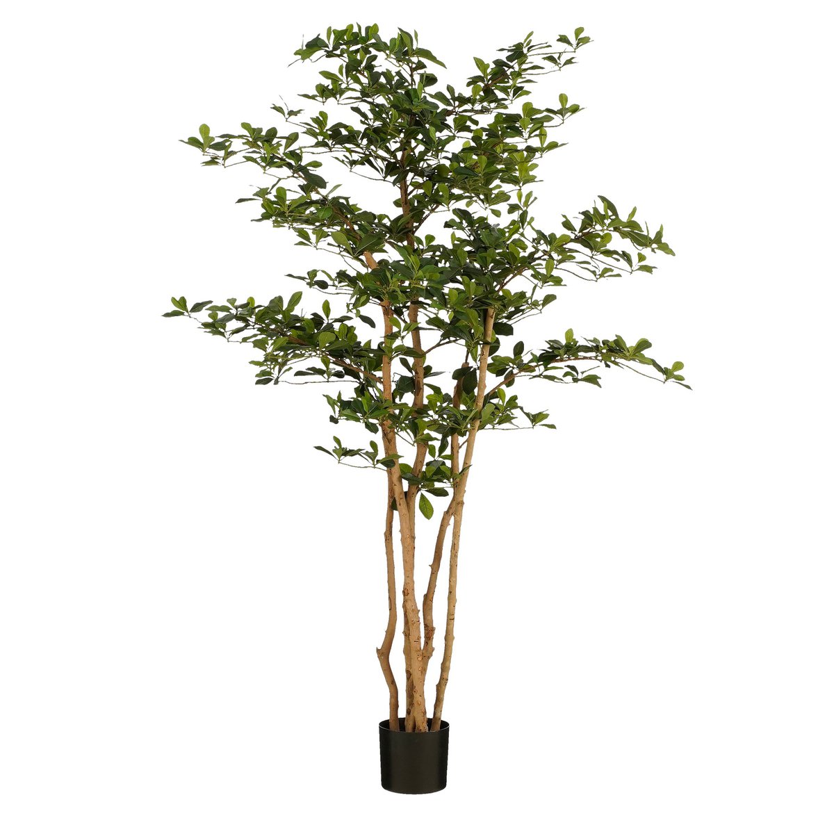 Kunstplant Olive Groen 183cm